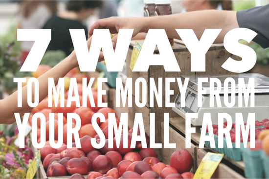 7 Ways to Make Money From Your Small Farm